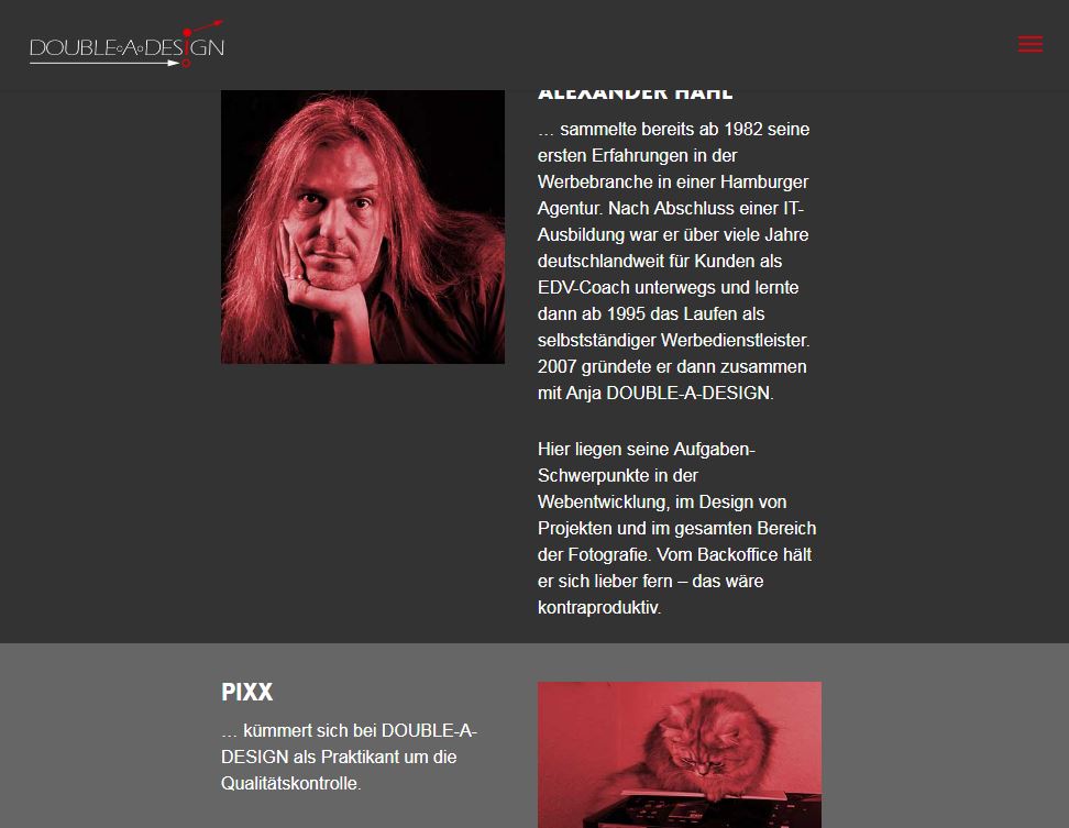 Alexander Hahl von Double A Design auf dem Screenshot der Website der Agentur (Teamseite)