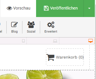 Im Menü "Veröffentlichen" befinden sich Unterpunkte, um eine easyPage Sicherung herzustellen.