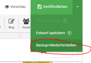 easyPage Sicherung herstellen mit dem Menüpunkt "Veröffentlichen" 