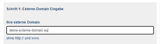 externe Domains bei goneo werden ohne jeden Zusatz angegeben, ohne www oder http, https ... 