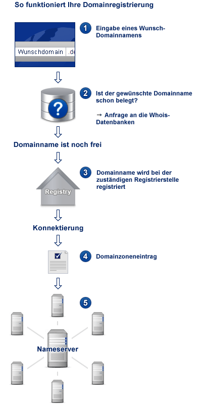 So funktioniert eine Domainregistrierung